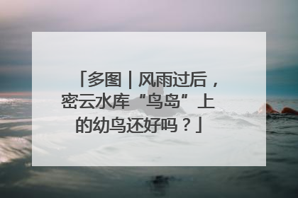 多图｜风雨过后，密云水库“鸟岛”上的幼鸟还好吗？