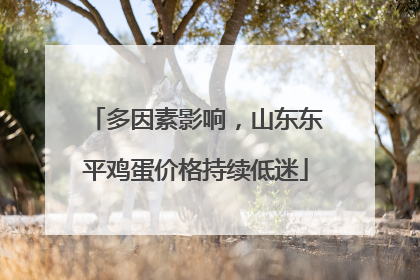 多因素影响，山东东平鸡蛋价格持续低迷