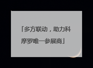 多方联动，助力科摩罗唯一参展商