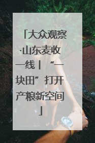 大众观察·山东麦收一线丨“一块田”打开产粮新空间