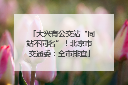 大兴有公交站“同站不同名”！北京市交通委：全市排查