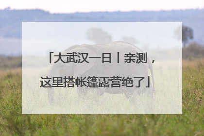 大武汉一日丨亲测，这里搭帐篷露营绝了