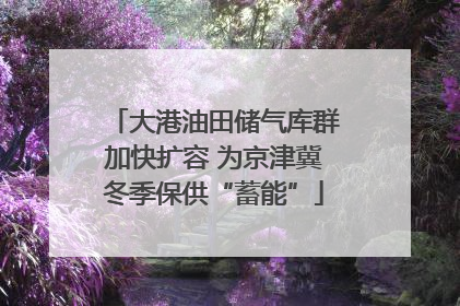 大港油田储气库群加快扩容 为京津冀冬季保供“蓄能”