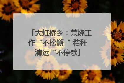 大虹桥乡：禁烧工作“不松懈“ 秸秆清运“不停歇