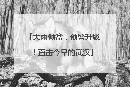 大雨倾盆，预警升级！直击今早的武汉