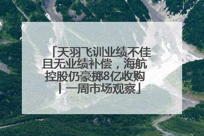 天羽飞训业绩不佳且无业绩补偿，海航控股仍豪掷8亿收购丨一周市场观察