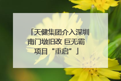 天健集团介入深圳南门墩旧改 巨无霸项目“重启”