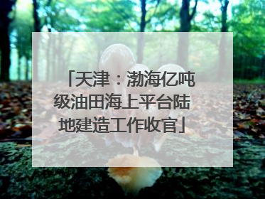 天津：渤海亿吨级油田海上平台陆地建造工作收官
