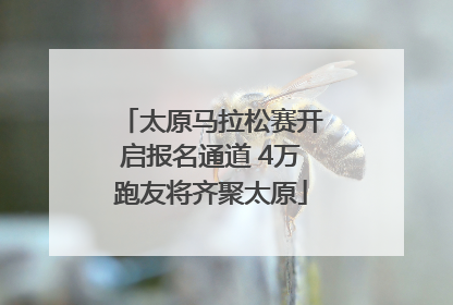 太原马拉松赛开启报名通道 4万跑友将齐聚太原