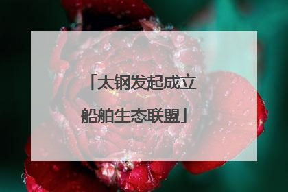 太钢发起成立船舶生态联盟