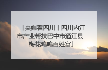 央媒看四川丨四川内江市产业帮扶巴中市通江县 梅花鸡鸣百姓富