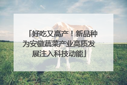 好吃又高产！新品种为安徽蔬菜产业高质发展注入科技动能
