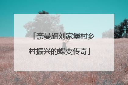 奈曼旗刘家堡村乡村振兴的蝶变传奇