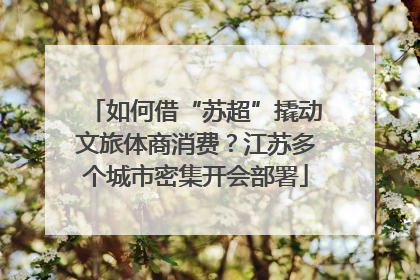 如何借“苏超”撬动文旅体商消费？江苏多个城市密集开会部署