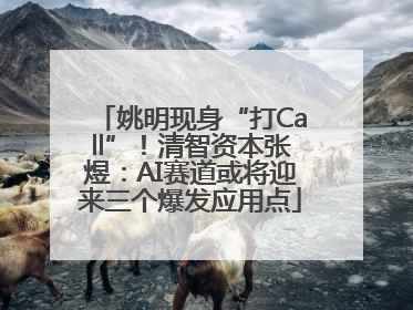 姚明现身“打Call”！清智资本张煜：AI赛道或将迎来三个爆发应用点