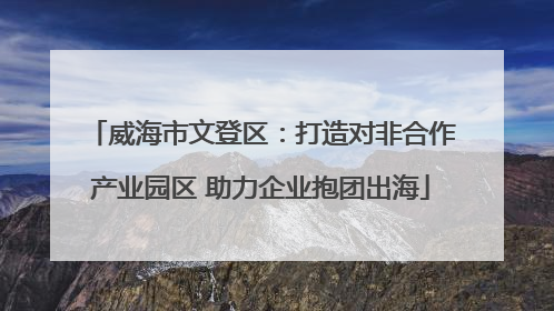威海市文登区：打造对非合作产业园区 助力企业抱团出海