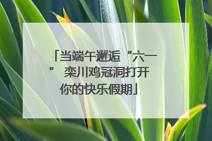 当端午邂逅“六一” 栾川鸡冠洞打开你的快乐假期