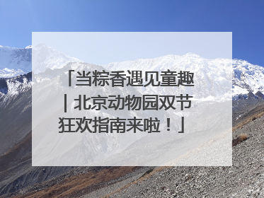 当粽香遇见童趣｜北京动物园双节狂欢指南来啦！