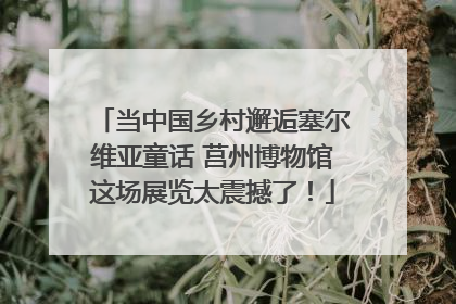 当中国乡村邂逅塞尔维亚童话 莒州博物馆这场展览太震撼了！