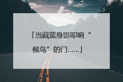 当藏蓝身影叩响“候鸟”的门……