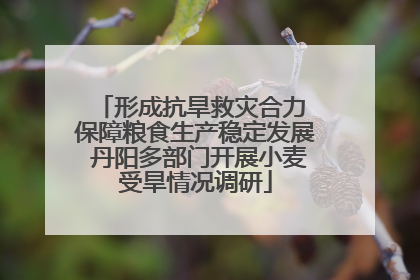 形成抗旱救灾合力 保障粮食生产稳定发展 丹阳多部门开展小麦受旱情况调研