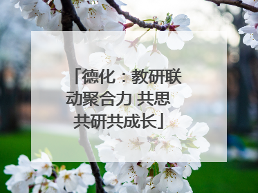 德化：教研联动聚合力 共思共研共成长