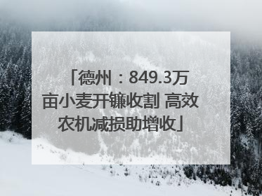 德州：849.3万亩小麦开镰收割 高效农机减损助增收