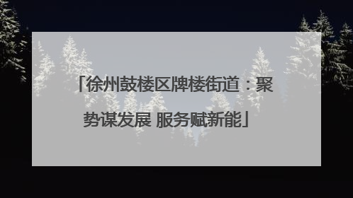 徐州鼓楼区牌楼街道：聚势谋发展 服务赋新能
