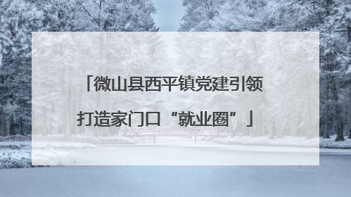 微山县西平镇党建引领打造家门口“就业圈”