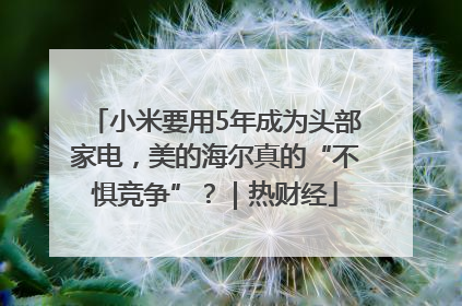 小米要用5年成为头部家电，美的海尔真的“不惧竞争”？｜热财经