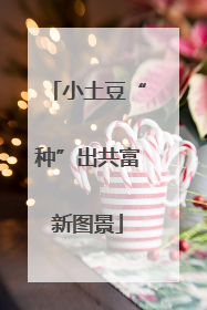 小土豆“种”出共富新图景