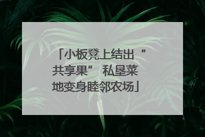 小板凳上结出“共享果” 私垦菜地变身睦邻农场