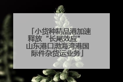 小货种精品港加速释放“长尾效应” 山东港口渤海湾港国际件杂货运业务