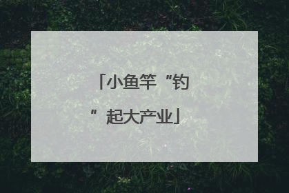 小鱼竿“钓”起大产业