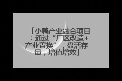 小鸭产业融合项目：通过“厂区改造+产业置换”，盘活存量，增值增效