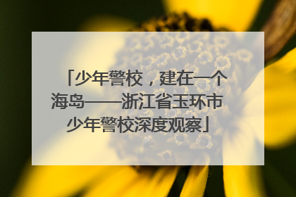 少年警校，建在一个海岛——浙江省玉环市少年警校深度观察
