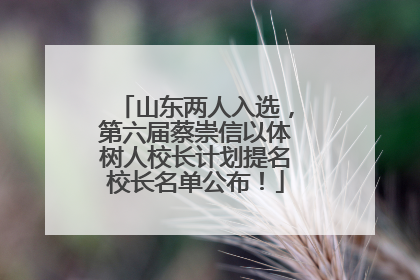 山东两人入选，第六届蔡崇信以体树人校长计划提名校长名单公布！