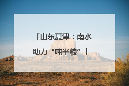 山东夏津：南水助力“吨半粮”