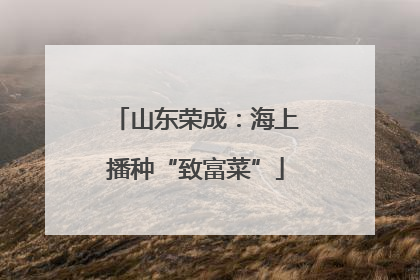 山东荣成：海上播种“致富菜”