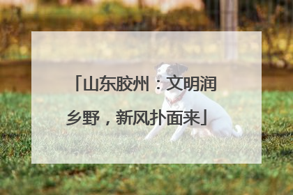 山东胶州：文明润乡野，新风扑面来