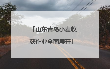 山东青岛小麦收获作业全面展开