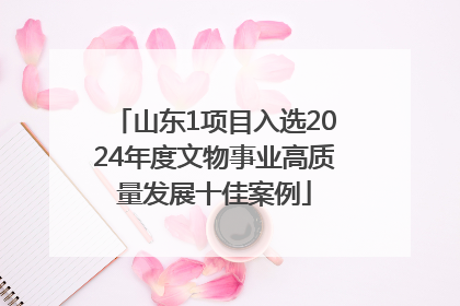 山东1项目入选2024年度文物事业高质量发展十佳案例