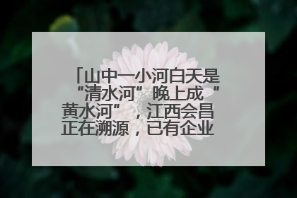 山中一小河白天是“清水河”晚上成“黄水河”，江西会昌正在溯源，已有企业被要求停工