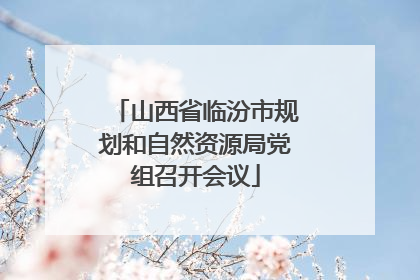 山西省临汾市规划和自然资源局党组召开会议