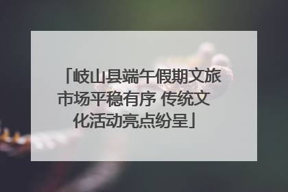 岐山县端午假期文旅市场平稳有序 传统文化活动亮点纷呈