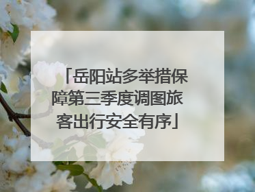 岳阳站多举措保障第三季度调图旅客出行安全有序