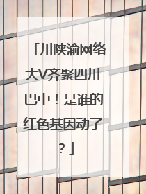 川陕渝网络大V齐聚四川巴中！是谁的红色基因动了？