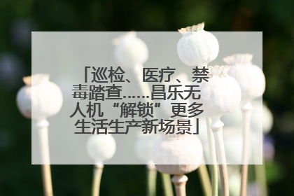 巡检、医疗、禁毒踏查……昌乐无人机“解锁”更多生活生产新场景