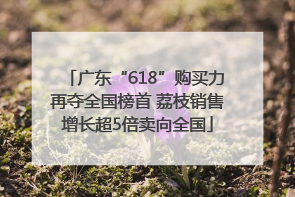 广东“618”购买力再夺全国榜首 荔枝销售增长超5倍卖向全国