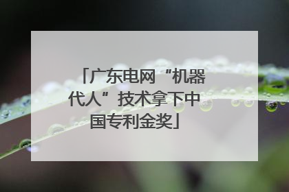 广东电网“机器代人”技术拿下中国专利金奖